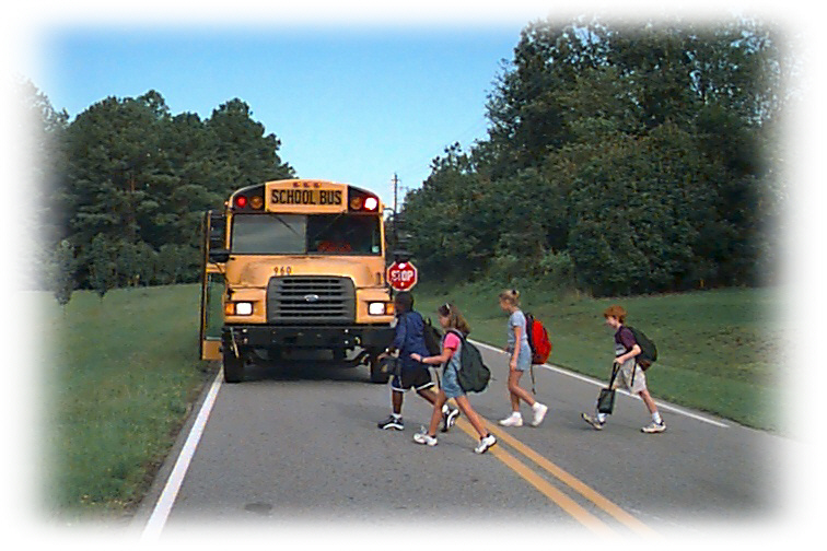 School Bus Stop Crossing